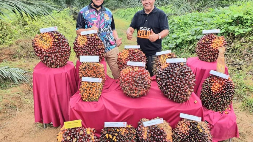 Alamat Pusat Penyelidikan Pertanian Tun Razak