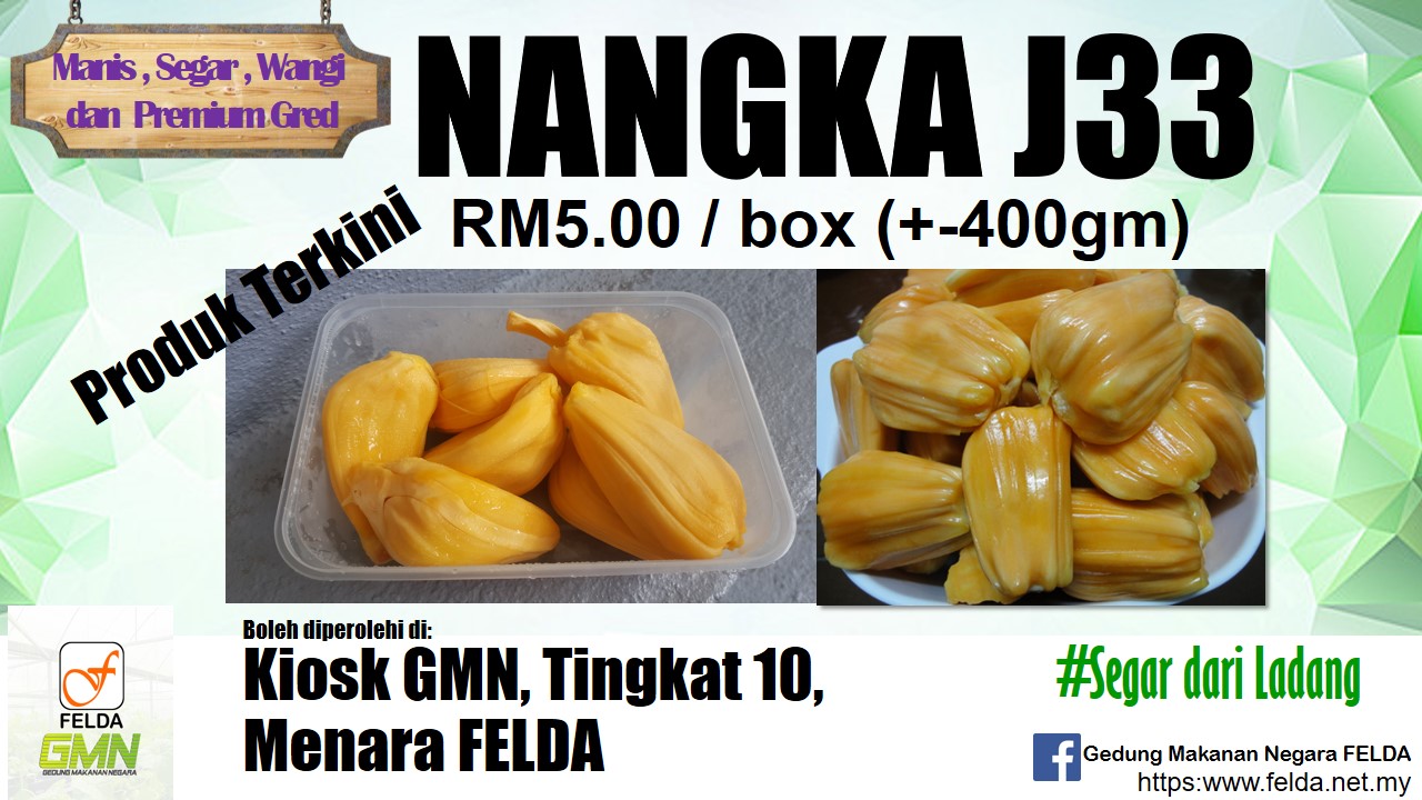 Promosi GMN Nangka J33