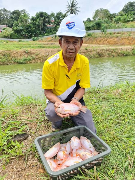 Perjanjian Operator Projek Ternakan Ikan Tilapia Merah 03
